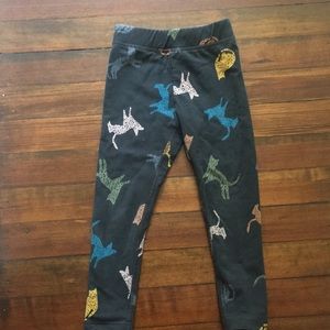 Hanna Andersson cozy leggings EUC